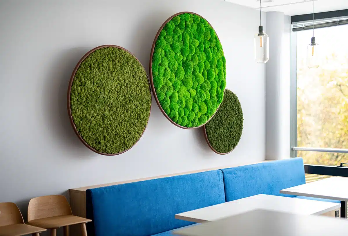 Greenmood_G-circle_product-01