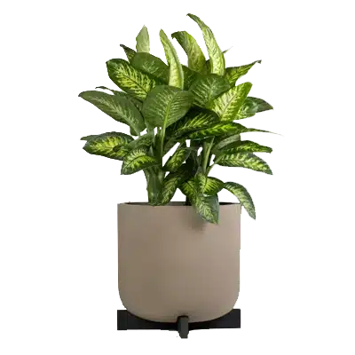 Green plant in beige pot with dark stand