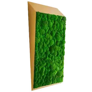 Green moss wall art decor