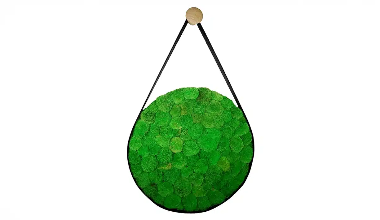 Round hanging green moss wall decor