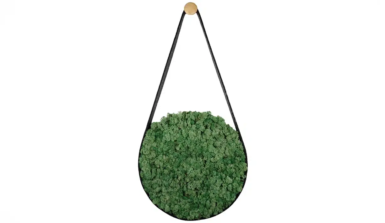 Hanging circular moss wall decoration