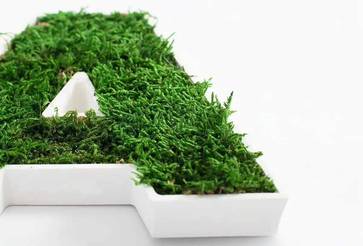 Green moss covering letter A sculpture