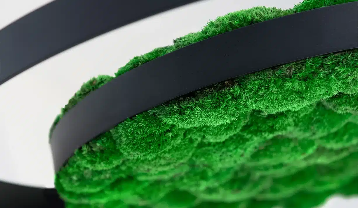 Close-up of vibrant green moss sculpture