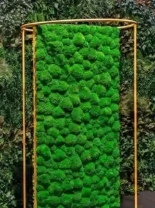Lush green moss wall with gold frame.