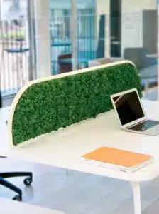 Office desk with green moss divider and laptop