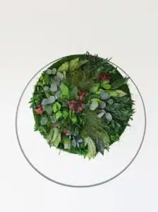 Circular green foliage wall art installation