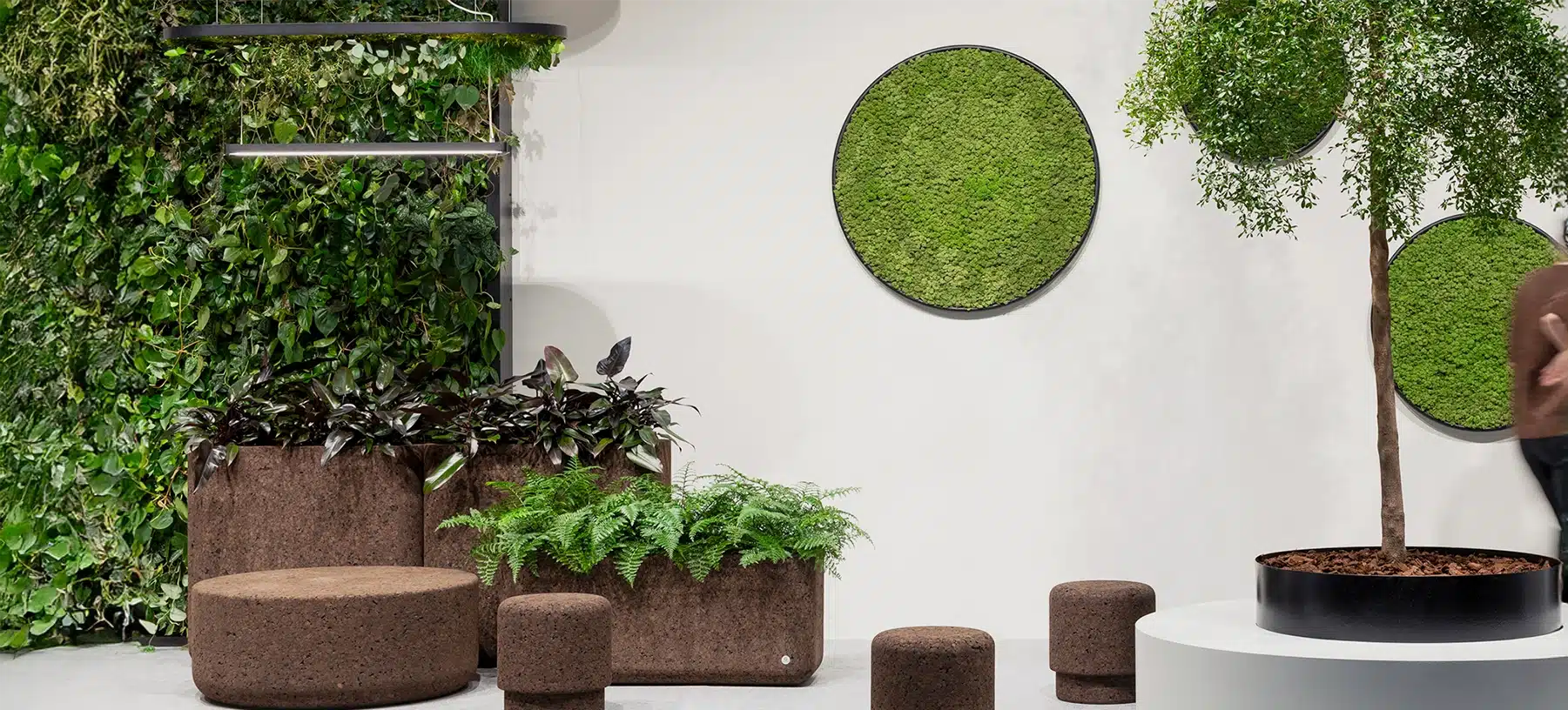Indoor garden with plants and green wall decor.