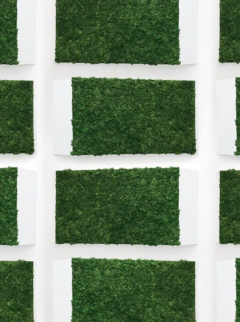 Rectangular green moss panels on white wall