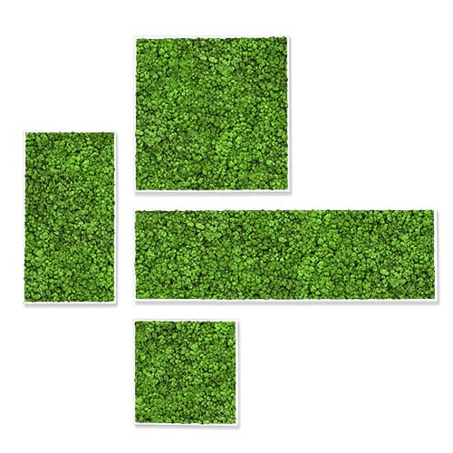 Green moss wall art in geometric shapes