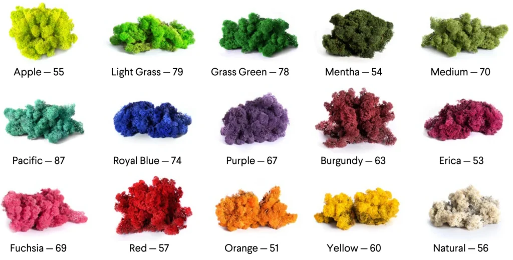 Colorful foam samples with names and numbers.